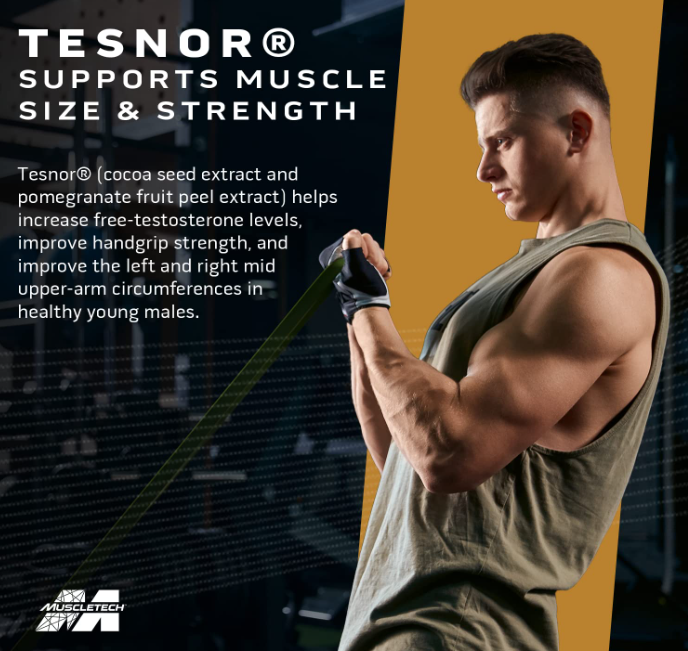 MuscleTech Test HD Elite (60 Veggie Capsules, Max-Strength Testosterone & ATP Booster with Tribulus Terrestris)